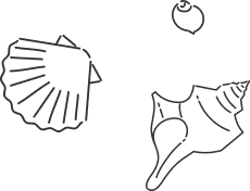 Illustration of shellfish
