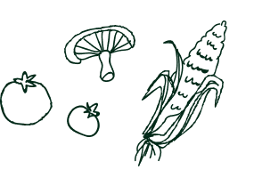 vegetable illustration